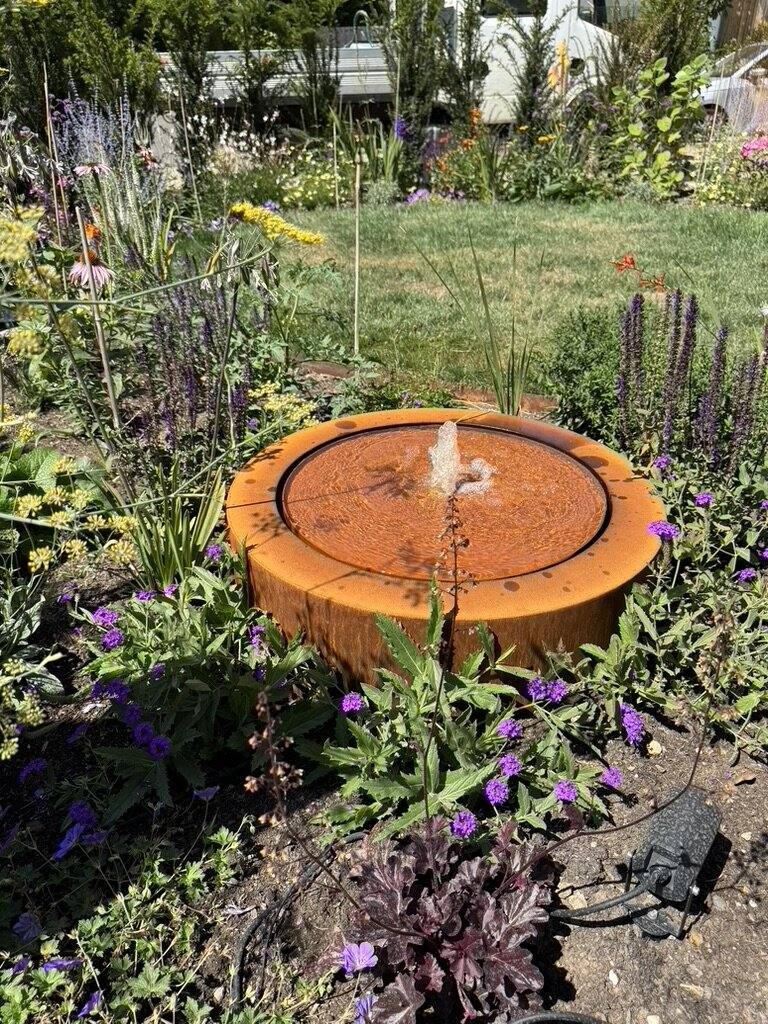 Close view of a corten steel water bowl surrounded by purple and green perennial planting