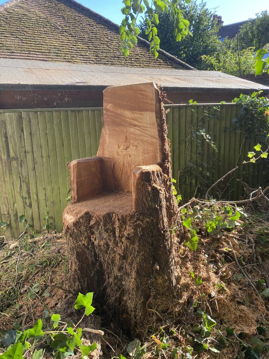 Cut tree stump left proud of the ground against a fence