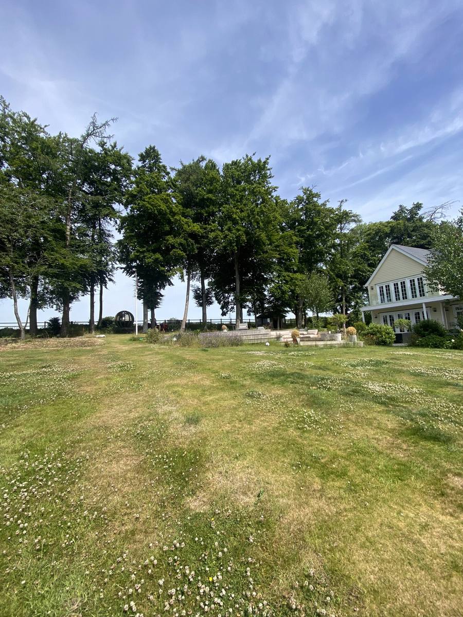 Large open lawn with mature trees and a house beyond