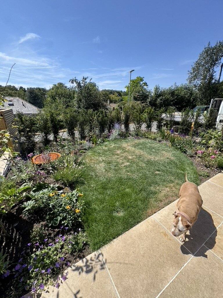 Limestone path curving between a lawn and a deep planted border