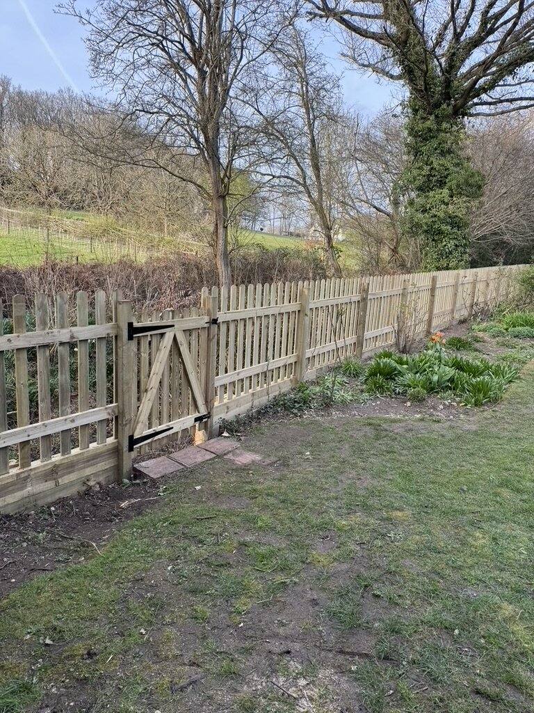 Picket and post-and-rail fencing along a field boundary with mature trees behind