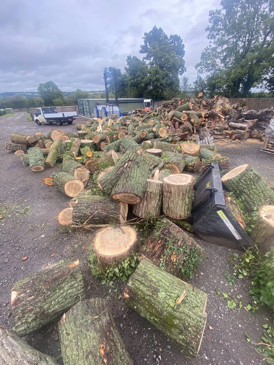 Stacked cordwood and timber rings at the yard