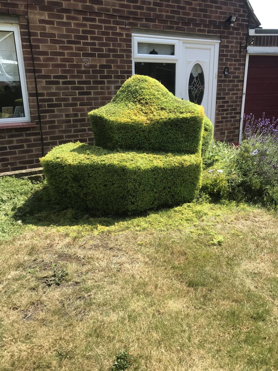 Neatly cut topiary hedge in a shaped tier beside a house
